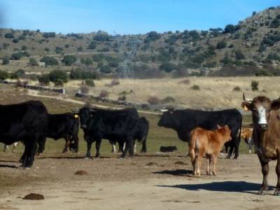 Desfiladero de la Risca [Valdeprados]los galayos hoces del rio duraton ruta transpirenaica